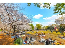 【東京都/世田谷区祖師谷】祖師谷4丁目新築戸建A号棟 祖師谷公園（現地より約800m）