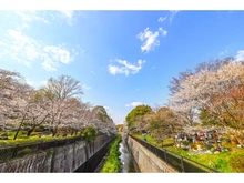 【東京都/世田谷区祖師谷】祖師谷4丁目新築戸建C号棟 祖師谷公園（現地より約800m）
