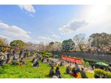 【東京都/世田谷区祖師谷】祖師谷4丁目新築戸建C号棟 祖師谷公園（現地より約800m）