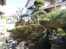 【大阪府/吹田市千里山西】吹田市千里山西5丁目　中古戸建 庭