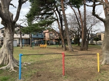 【東京都/府中市栄町】府中市栄町2丁目 あかまつ林（公園）（現地より約10m）