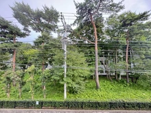 【東京都/国立市西】国立市西2丁目　新築戸建B号棟 眺望