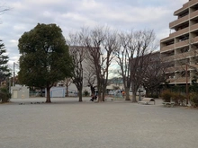 【神奈川県/横須賀市平作】コンフォート平作1丁目12号棟（新築分譲住宅） 衣笠栄町公園（現地より約650m）