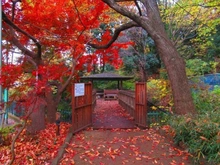 【東京都/日野市東豊田】日野市東豊田4丁目　中古戸建 黒川清流公園（現地より約250m）