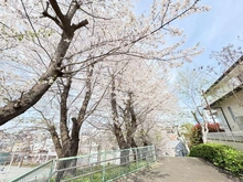 【神奈川県/横浜市中区仲尾台】中区仲尾台　中古戸建 前面道路