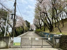 【神奈川県/横浜市中区仲尾台】中区仲尾台　中古戸建 横浜市立仲尾台中学校（現地より約90m）：