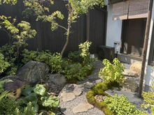 【京都府/京都市東山区大和大路通四条下る4丁目】京都市東山区大和大路通四条下る4丁目小松町　中古戸建 庭