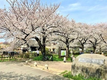 【埼玉県/さいたま市緑区松木】さいたま市緑区松木3丁目　中古戸建 見沼氷川公園（現地より約569m）