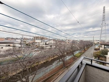 【埼玉県/川口市戸塚東】川口市戸塚東4丁目　新築戸建A号棟 眺望：春には川沿いに桜が咲きます。