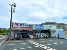 【千葉県/流山市三輪野山】流山市三輪野山1丁目／戸建 ウエルシア流山店（現地より約502m）
