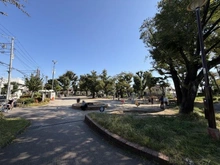 【東京都/板橋区常盤台】板橋区常盤台1丁目　2号棟 常盤台公園（現地より約250m）