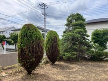 【神奈川県/三浦郡葉山町堀内】神奈川県三浦郡葉山町堀内　中古戸建 庭