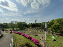 【神奈川県/横浜市港北区岸根町】横浜市港北区岸根町　戸建 岸根公園（現地より約910m）