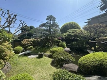 【静岡県/伊東市弥生町】静岡県伊東市弥生町 庭