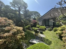 【静岡県/伊東市弥生町】静岡県伊東市弥生町 庭