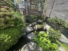 【静岡県/伊東市弥生町】静岡県伊東市弥生町 庭
