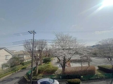 【東京都/町田市三輪緑山】町田市三輪緑山2丁目　戸建 眺望：2階バルコニーより