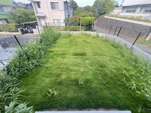 【神奈川県/横浜市金沢区能見台】金沢区能見台1丁目新築戸建 庭