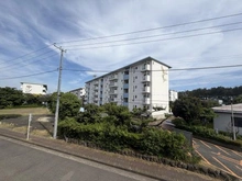 【神奈川県/平塚市虹ケ浜】平塚市虹ケ浜　新築戸建て 眺望：バルコニーから