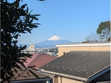 【神奈川県/藤沢市片瀬山】藤沢市片瀬山2丁目 二世帯住宅 眺望：1階から(ズーム有)