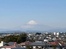【神奈川県/藤沢市鵠沼松が岡】藤沢市鵠沼松が岡1丁目　中古戸建て 眺望：ルーフバルコニーから（ズーム有）