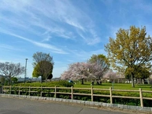 【神奈川県/藤沢市石川】藤沢市石川1丁目 一戸建  なかむら公園（現地より約10m）：