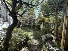 【神奈川県/鎌倉市鎌倉山】鎌倉市鎌倉山3丁目 中古戸建 庭