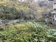 【神奈川県/鎌倉市手広】鎌倉市手広2丁目　戸建て 庭