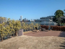 【東京都/渋谷区西原】渋谷区西原三丁目　戸建 ルーフバルコニー：家具・調度品付き