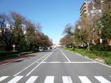【東京都/国分寺市西町】国分寺市西町2丁目新築戸建 大学通り（現地より約1,500m）