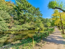 【東京都/大田区田園調布】大田区田園調布5丁目中古戸建 宝来公園（現地より約850m）