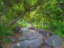 【東京都/世田谷区野沢】世田谷区野沢四丁目戸建 東京都立駒沢オリンピック公園（現地より約700m）