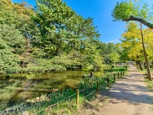 【東京都/大田区田園調布】大田区田園調布五丁目 新築戸建て 宝来公園（現地より約1,000m）