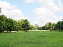 【東京都/小金井市東町】プラウドシーズン東小金井 都立野川公園（現地より約600m）