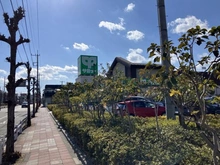 【東京都/立川市羽衣町】立川市羽衣町1丁目　新築戸建　1号棟 サミットストア羽衣いちょう通り店（現地より約200m）