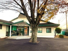 【東京都/小平市鈴木町】プラウドシーズン武蔵小金井ガーデンアベニュー フェアリーテニスフォーラム（現地より約290m）