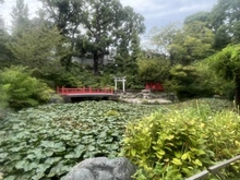 【東京都/文京区千駄木】文京区千駄木3丁目　中古戸建 須藤公園（現地より約350m）：