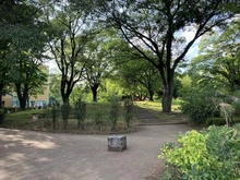 【東京都/小金井市東町】ファインコート小金井東町3丁目 栗山公園（現地より約780m）