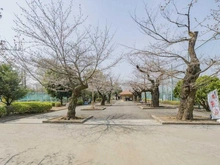 【東京都/世田谷区赤堤】プラウドシーズン世田谷経堂　光彩の邸  羽根木公園（現地より約1,800m）