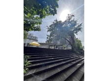 【東京都/新宿区横寺町】新宿区横寺町中古戸建 AKOMEYA TOKYO in la kagu(現地より約450m):