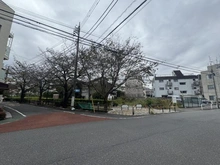 【東京都/世田谷区下馬】世田谷区下馬1丁目中古戸建 蛇崩川緑道（現地より約40m）