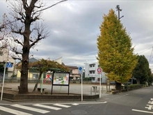 【東京都/西東京市南町】西東京市南町1丁目　中古戸建 南町第一児童遊園（現地より約160m）