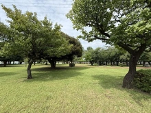 【埼玉県/川口市坂下町】川口市坂下町4丁目　中古戸建 三ツ和公園（現地より約596m）