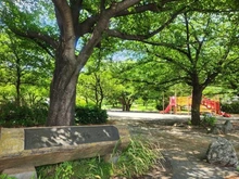【神奈川県/川崎市高津区久地】川崎市高津区久地4丁目　中古戸建 久地梅林公園（現地より約1,200m）