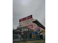 【東京都/江戸川区平井】江戸川区平井7丁目　戸建 ロピア 平井島忠ホームズ店（現地より約1,300m）