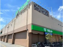 【東京都/江戸川区松本】江戸川区松本一丁目　中古戸建 サミットストア本一色店（現地より約446m）