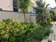 【東京都/国立市西】国立市西二丁目　中古戸建 庭