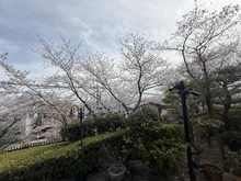 【兵庫県/宝塚市雲雀丘】宝塚市雲雀丘二丁目　中古戸建 眺望