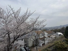 【兵庫県/宝塚市雲雀丘】宝塚市雲雀丘二丁目　中古戸建 眺望