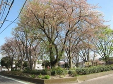 【神奈川県/横浜市青葉区しらとり台】青葉区しらとり台　中古戸建 しらとり台第二公園（現地より約300m）